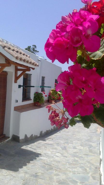 Villa Casas El Molino Vejer de la Frontera Camera foto